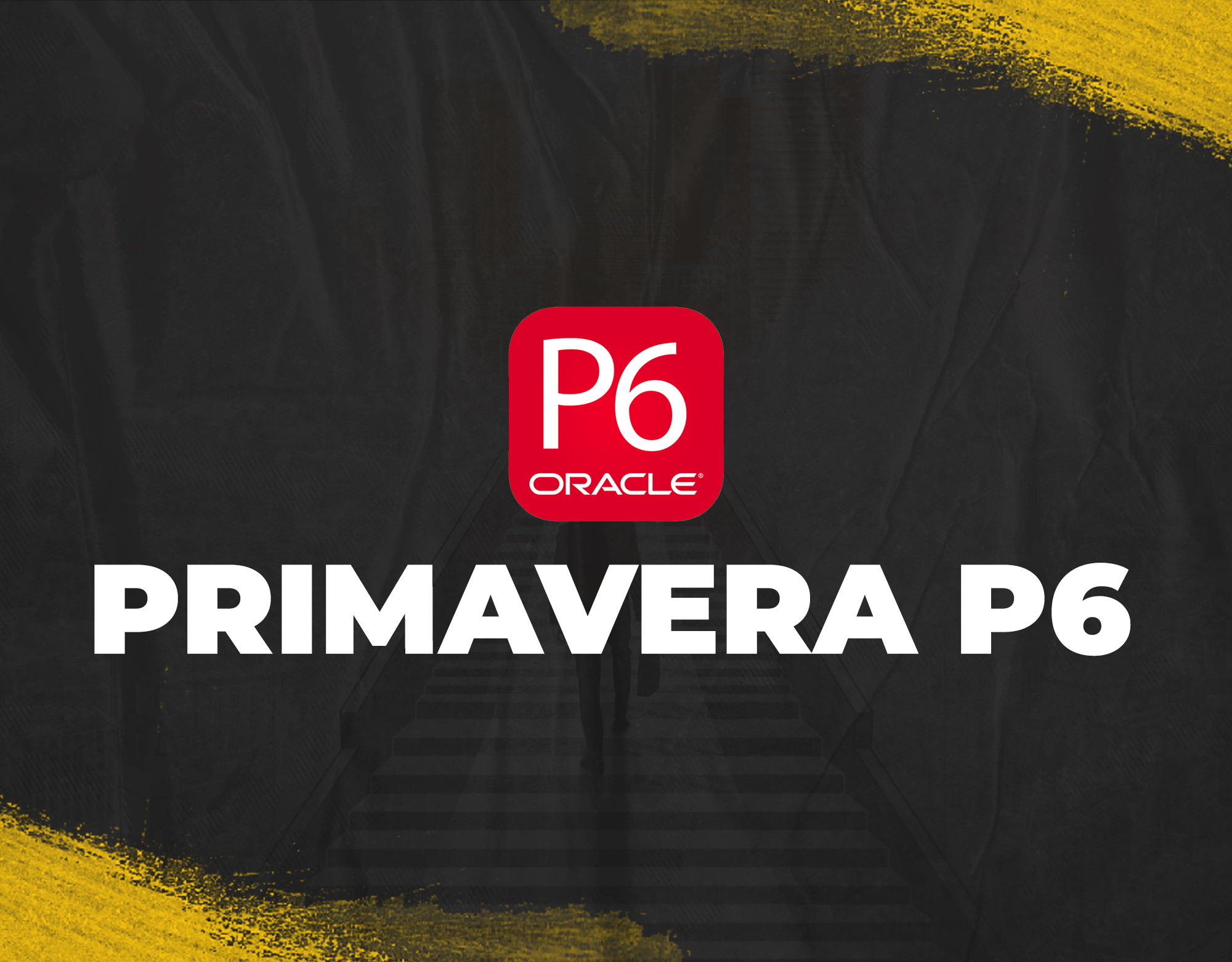 PRIMAVERA P6 Online Interactive 